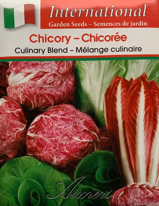 Seed - Chicory Culinary Blend