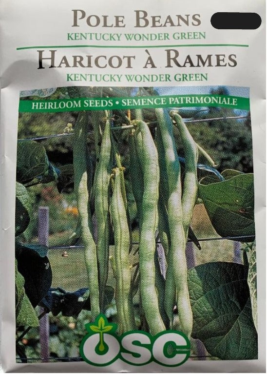 Seed- Pole Beans Kenucky Wonder Green