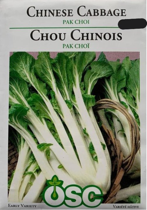 Seed- Chinese Cabbage Pak Choi