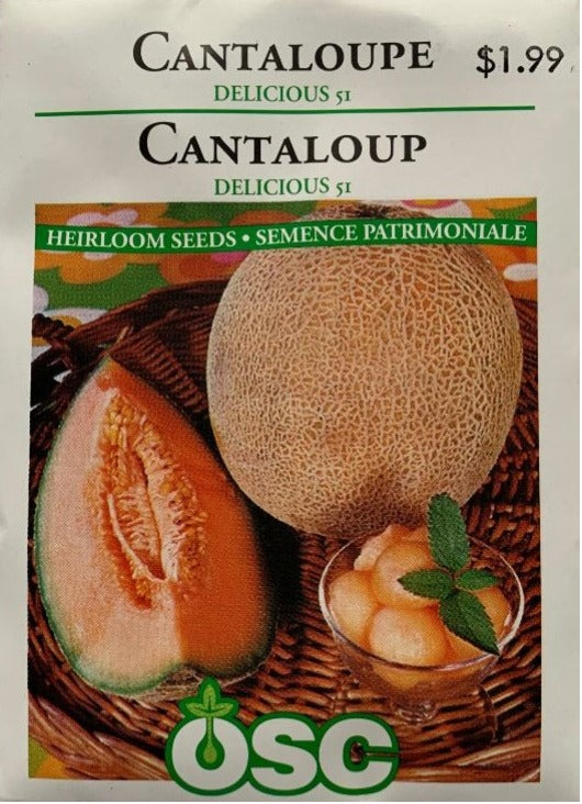 Seed- Cantaloupe Delicious 51