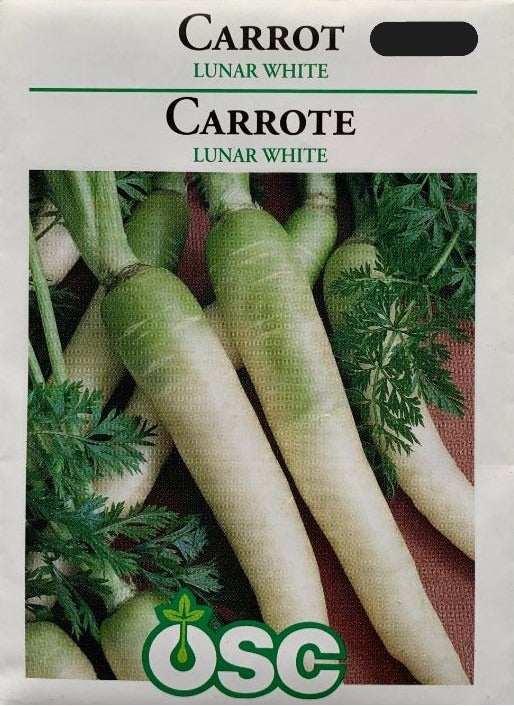 Seed- Carrots Lunar White