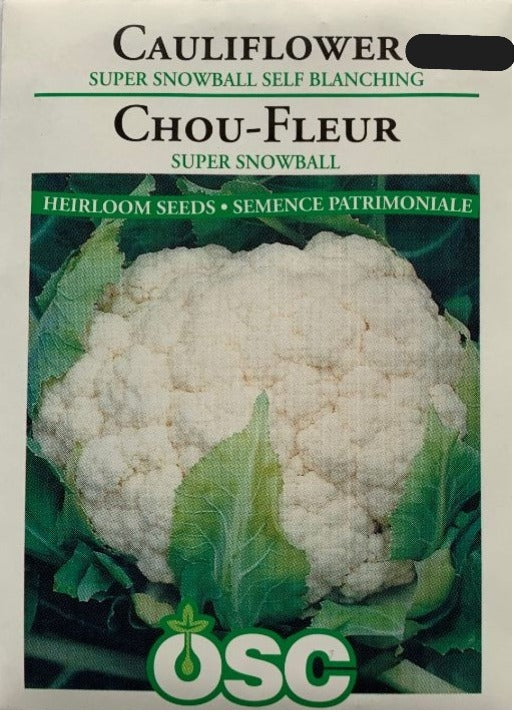 Seed- Cauliflower Super Snowball Self Blanching