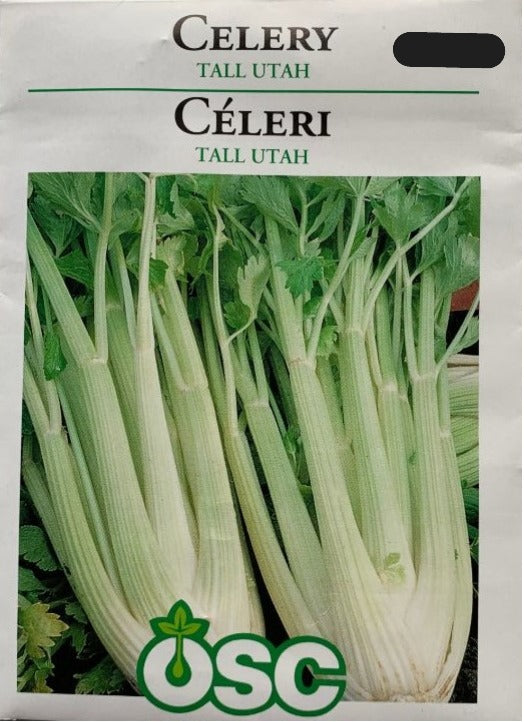 Seed- Celery Tall Utah