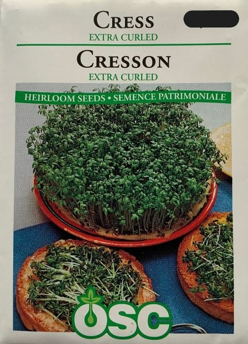 Seed- Cress Extra Curled