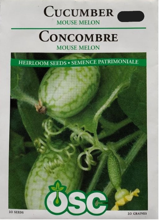 Seed- Cucumber Mouse Melon