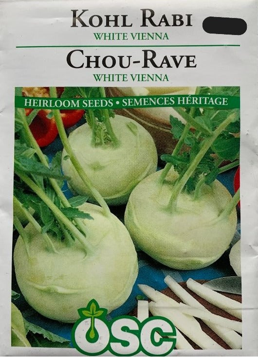 Seed- Kohl Rabi White Vienna