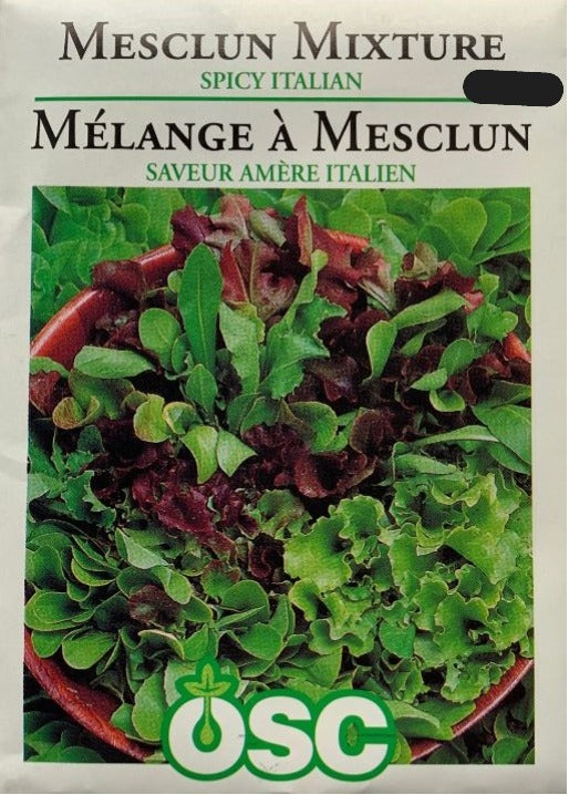 Seed- Mesclun Mixture Spicy Italian