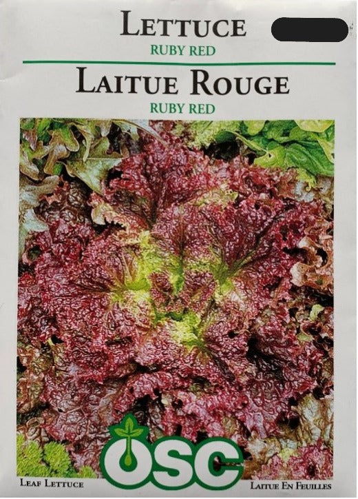 Seed- Leaf Lettuce Ruby Red