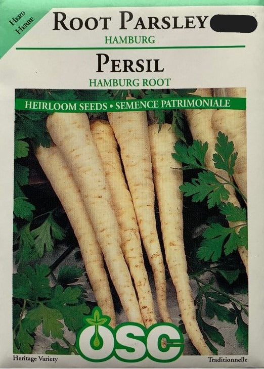 Seed - Herb Root Parsley Hamburg