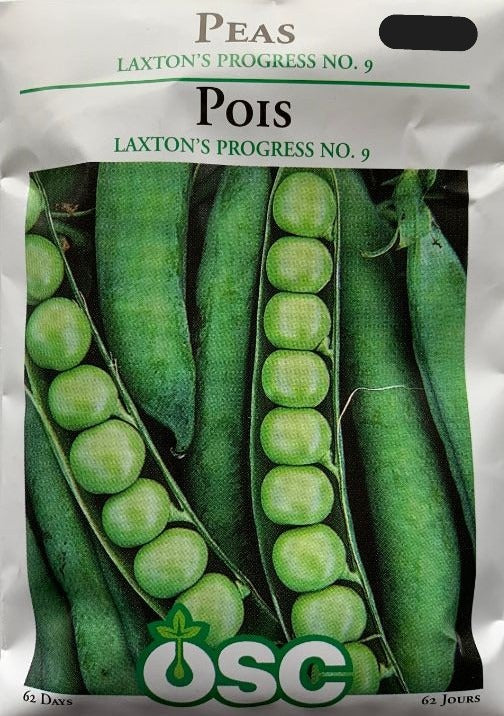 Seed- Peas Laxton's Progress No. 9