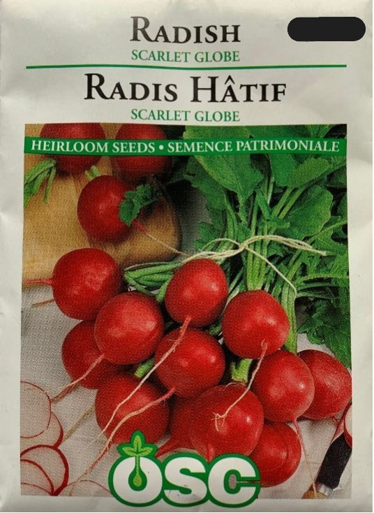 Seed - Summer Radish Scarlet Globe