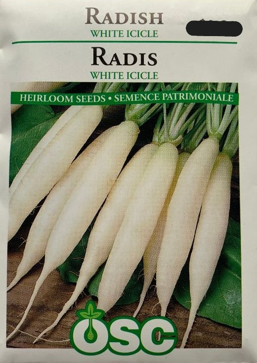 Seed- Summer Radish White Icicle