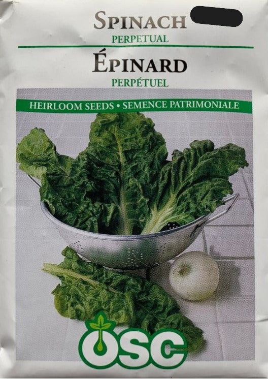 Seed- Spinach Perpetual