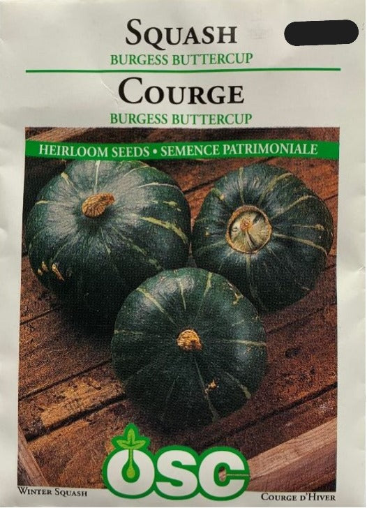 Seed- Winter Squash Burgess Buttercup