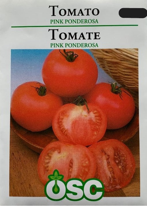 Seed- Tomato Pink Ponderosa