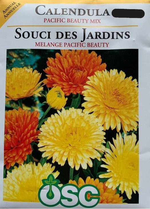 Seed- Calendula Pacific Beauty Mix