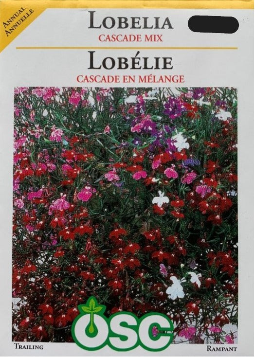 Seed- Lobelia Cascade Mix