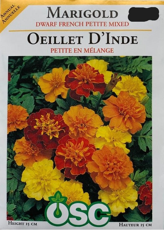 Seed- Marigold Dwarf French Petite Mixed