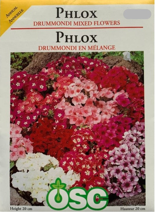 Seed - Phlox Drummondi Mixed Flowers