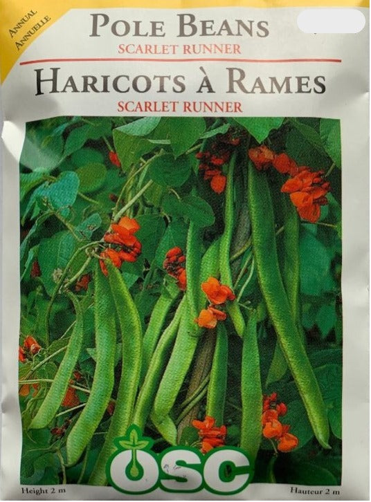 Seed - Pole Beans Scarlet Runner