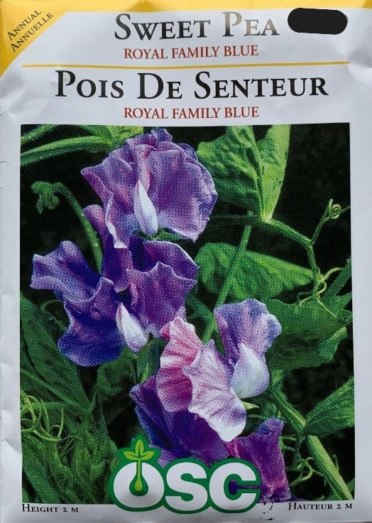 Seed- Sweet Pea Royal Family Blue