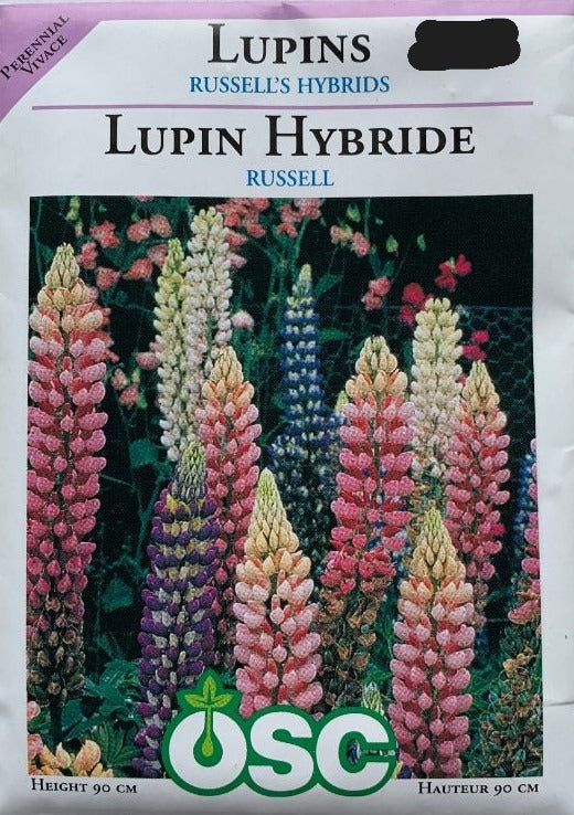 Seed- Lupins Russell's Hybrids