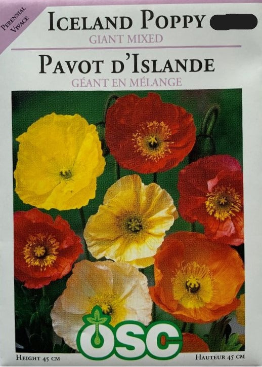 Seed- Iceland Poppy Giant Mixed