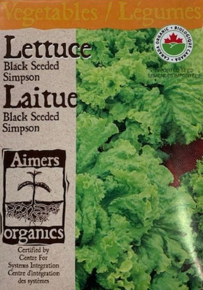 Organic Seed- Lettuce Black Seeded Simpson