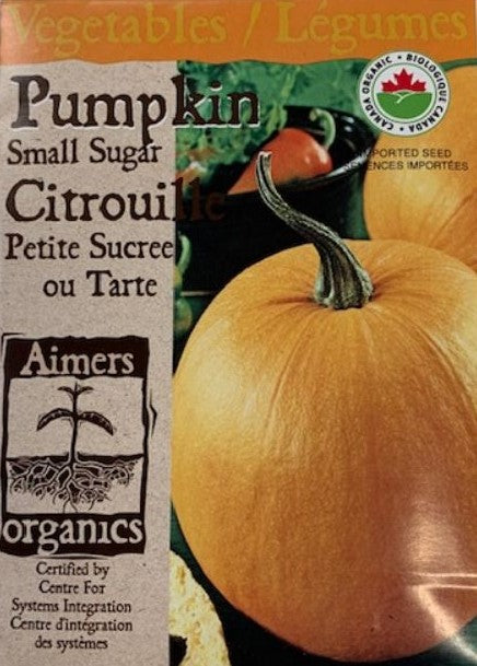 Organic Seed - Pumpkin Small Sugar