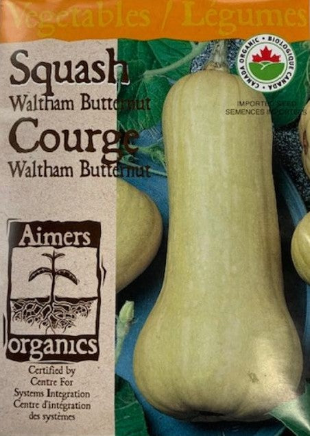 Organic Seed- Squash Waltham Butternut