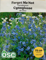 Seed - Forget Me Not Cynoglossum