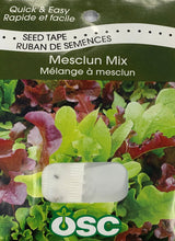 Seed Tapes- Mesclun Mix