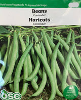 Seed- Beans Contender