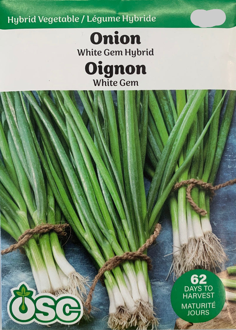 Seed- Bunching Onions White Gem Hybrid