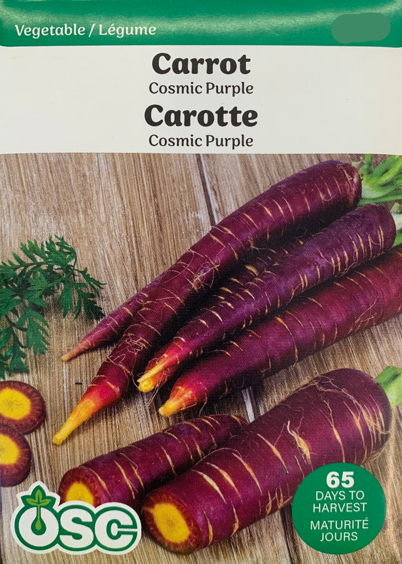 Seed- Carrots Cosmic Purple