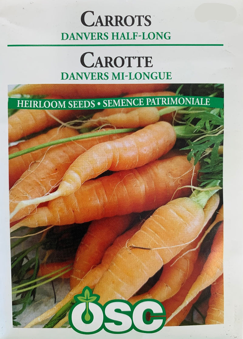 Seed- Carrots Danvers Half-Long