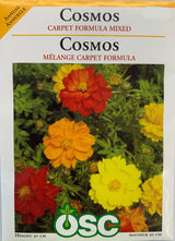 Seed- Cosmos Carpet Formula Mix