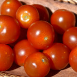 Seed- Tomato Sweet Million Hybrid