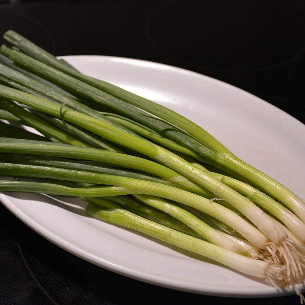 Organic Seed- Onion Bunching Evergeen