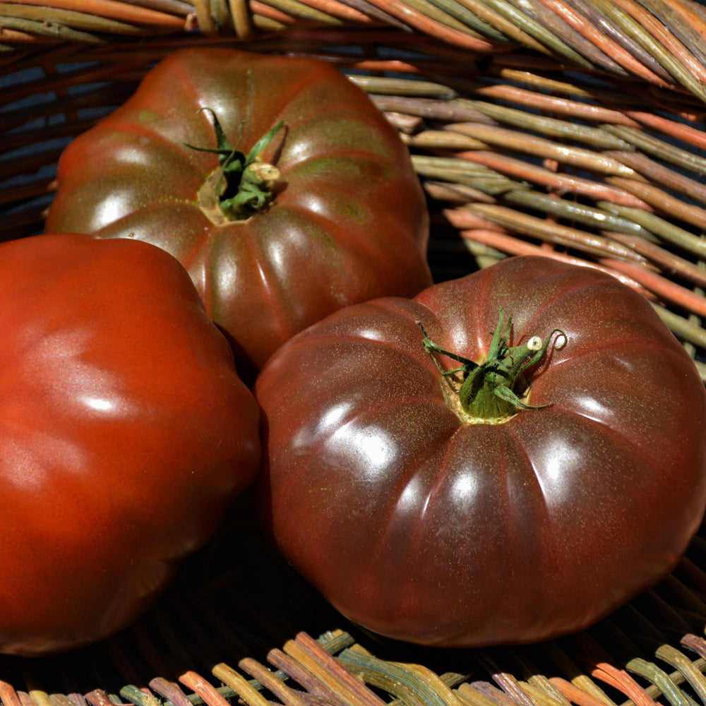 Seed- Tomato Cherokee Purple