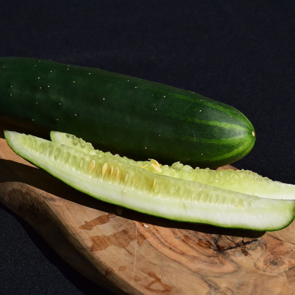 Organic Seed - Cucumber Marketmore 76