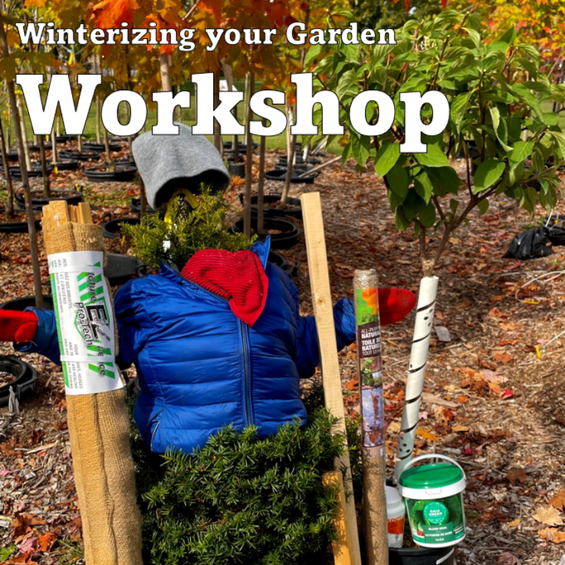 WINTERIZING YOUR GARDEN WORKSHOP OCTOBER 19 10:30