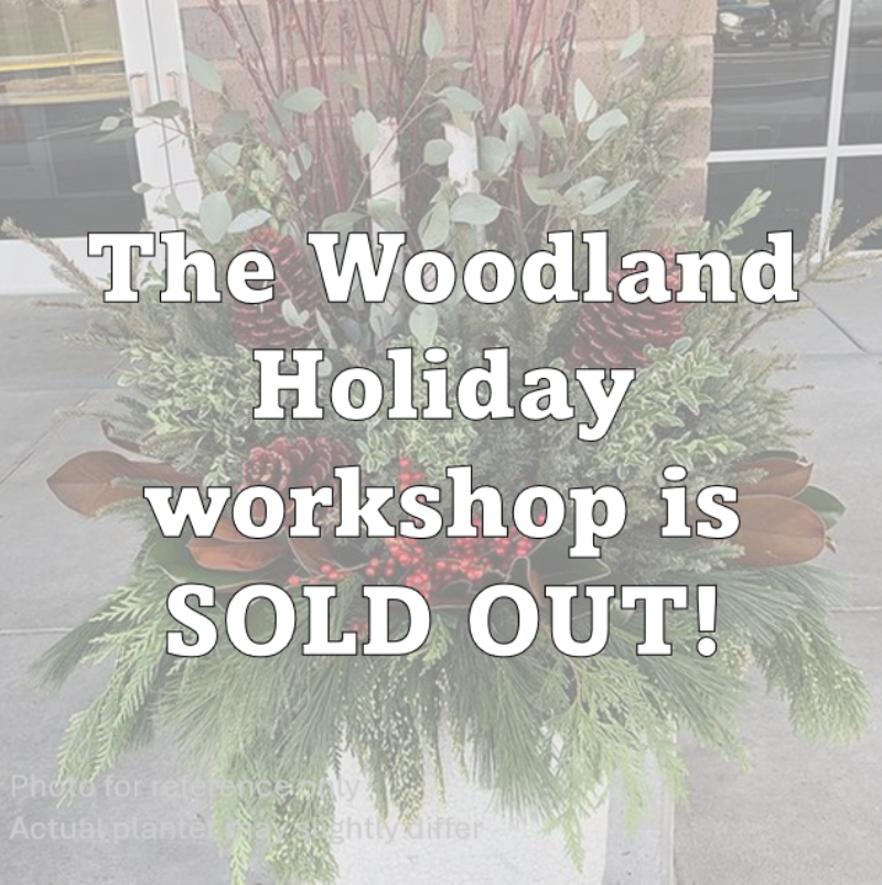 WOODLAND HOLIDAY PLANTER SEMINAR  NOVEMBER 16 at 11AM