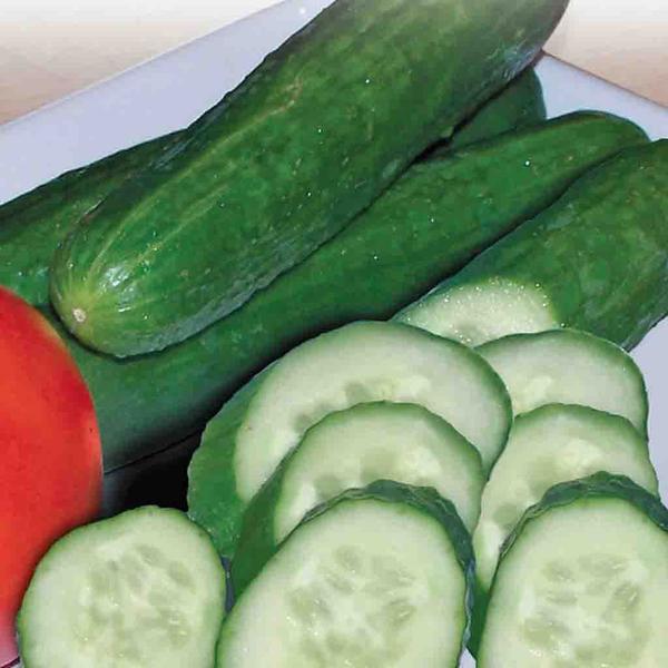 Cucumber - Lebanese