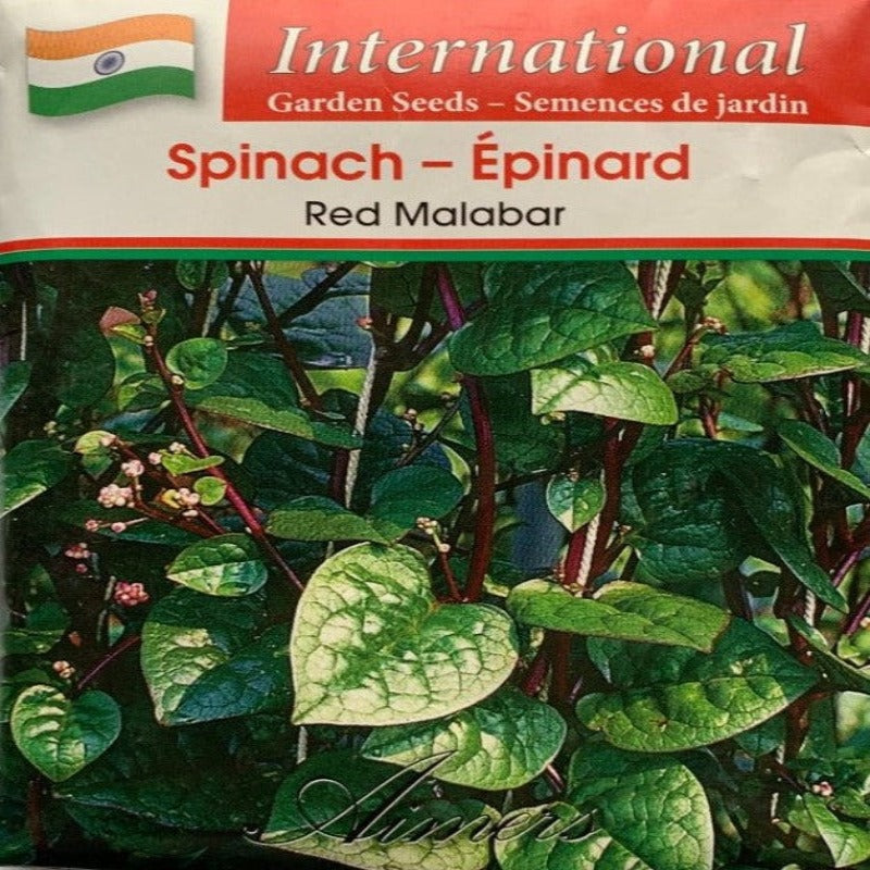 Spinach Seeds- Red Malabar