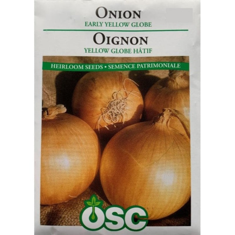 Onion Seeds- Early Yellow Globe