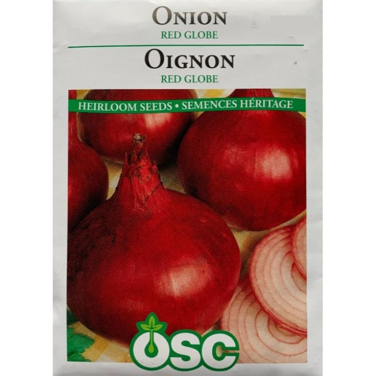 Onion Seeds- Red Globe