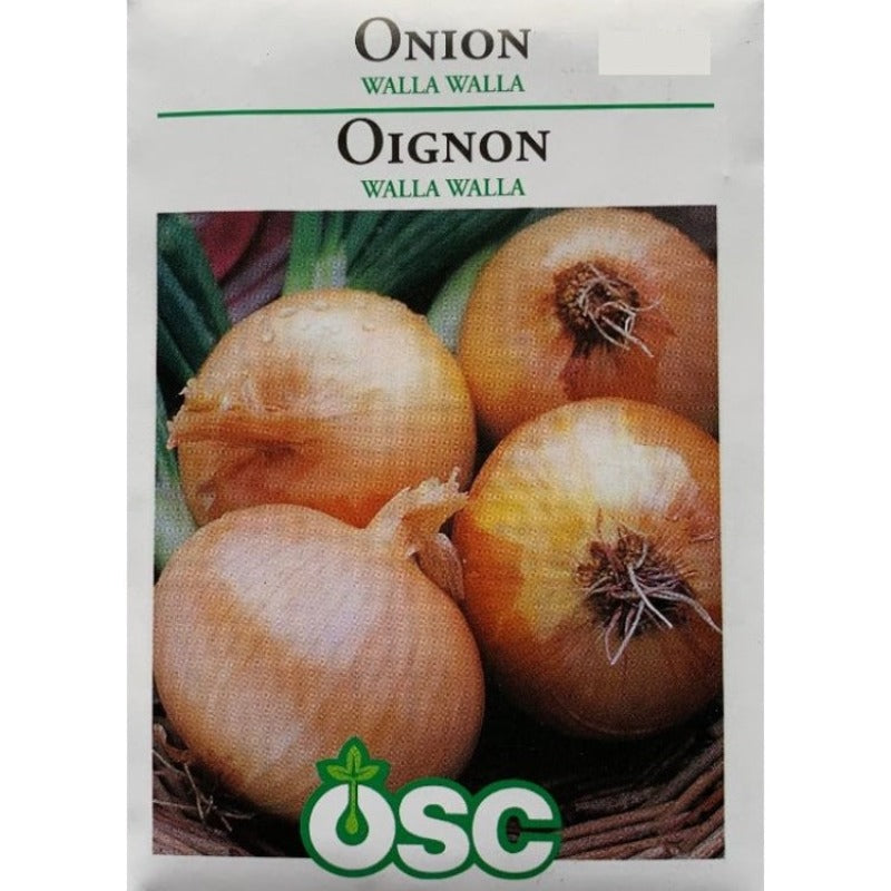 Onion Seeds- Walla Walla