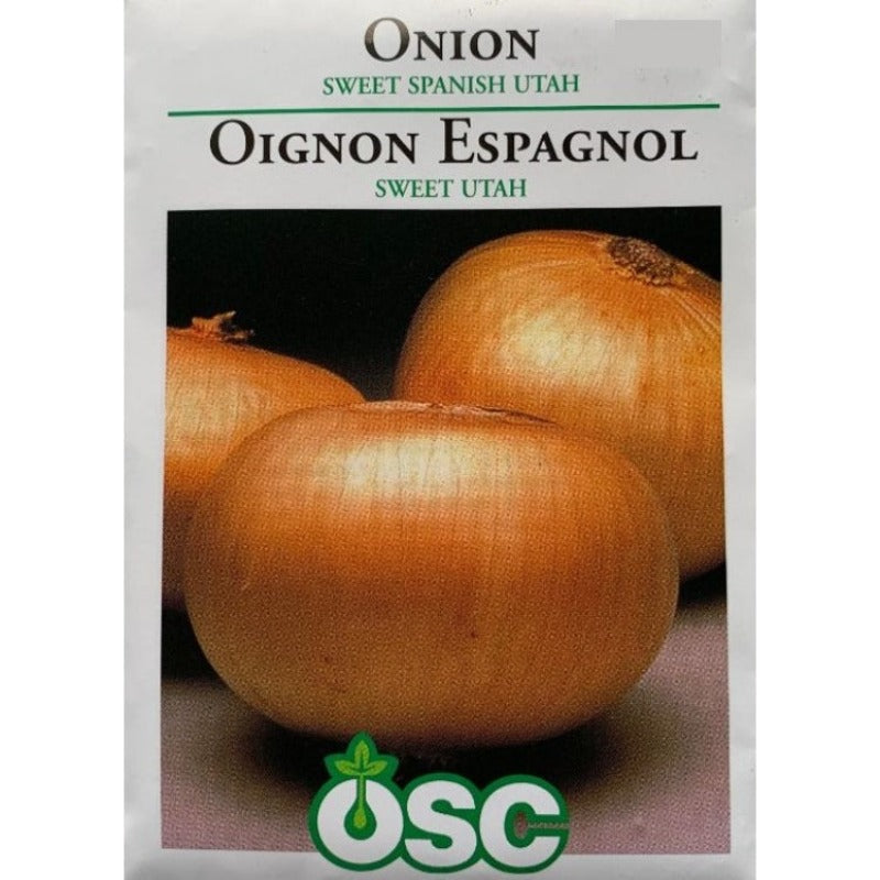 Onion Seeds- Sweet Spanish Utah