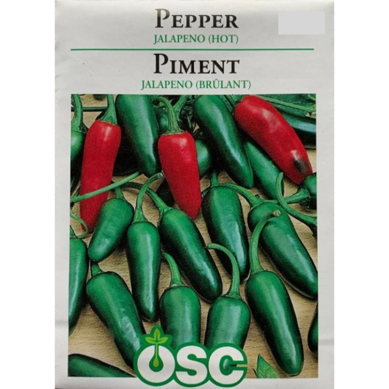 Pepper Seeds- Jalapeno (Hot)